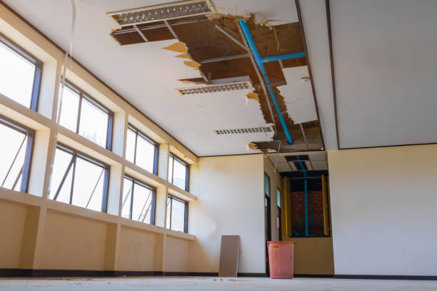 Best Carpet water damage restoration  in Hiram, GA