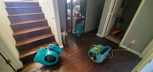 Best Mold removal after water damage  in Hiram, GA