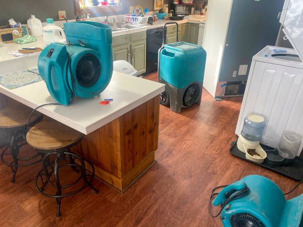 Best Water damage restoration cost  in Hiram, GA