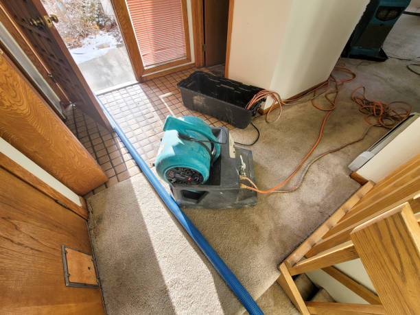 Best Fire Damage Restoration  in Hiram, GA