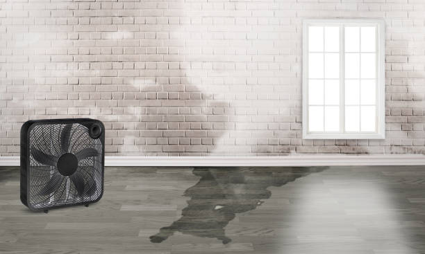 Best 24/7 water damage repair  in Hiram, GA