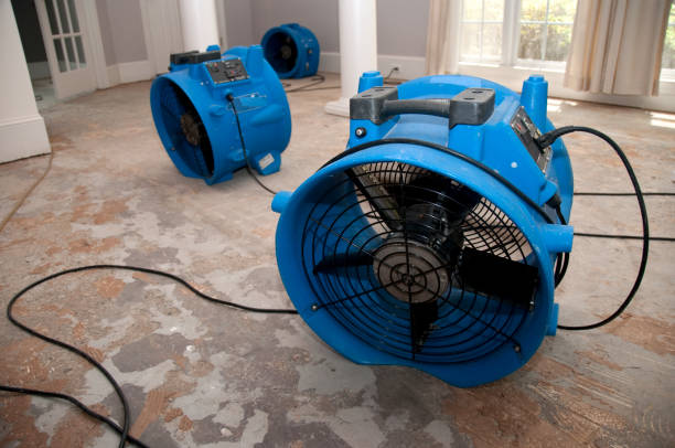 Best Flood damage cleanup  in Hiram, GA