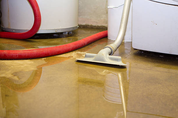 Water damage restoration mold remediation in Hiram, GA