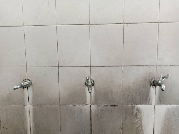 Best Flood damage cleanup  in Hiram, GA