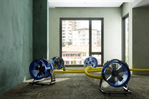 Best Mold removal after water damage  in Hiram, GA