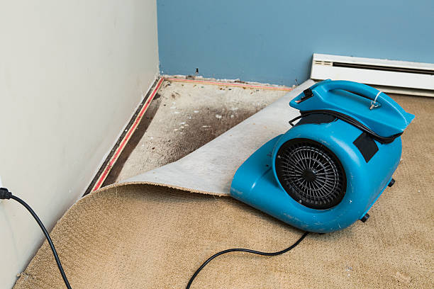 Best Water damage restoration mold remediation  in Hiram, GA